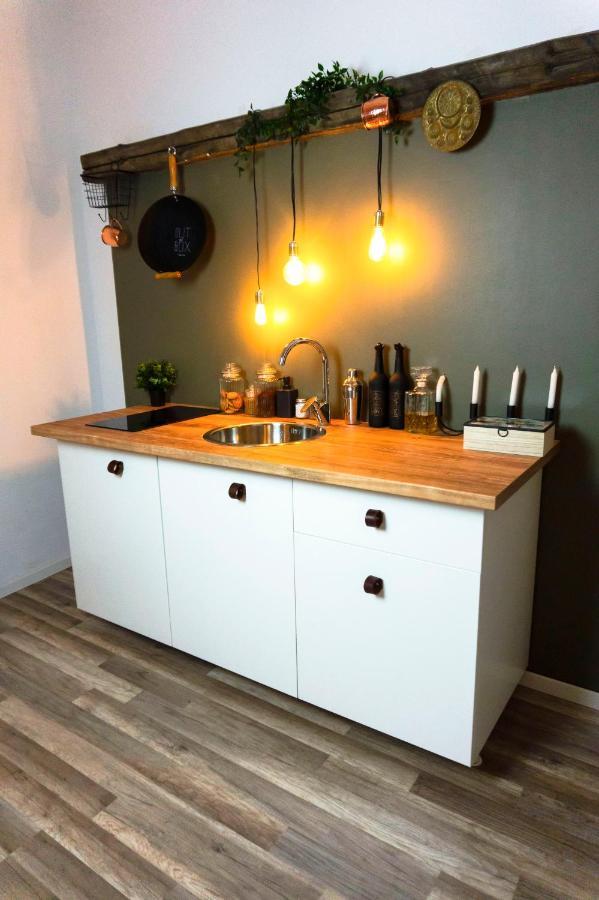 Zor Zon Apartment Timişoara