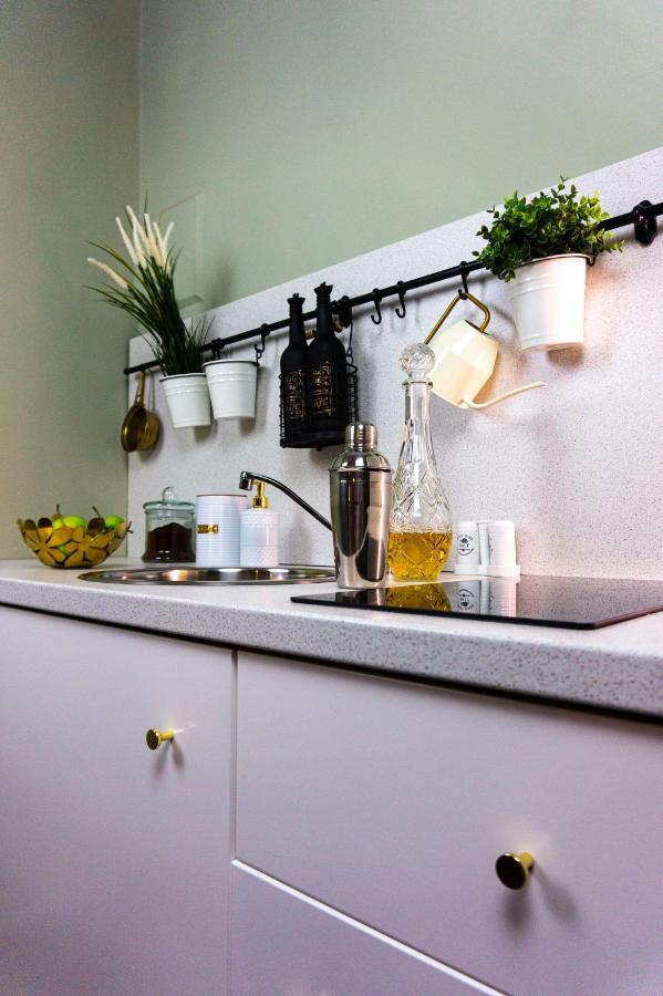 Zor Zon Apartment Timişoara