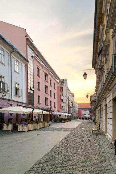 Zor Zon Apartment Timişoara
